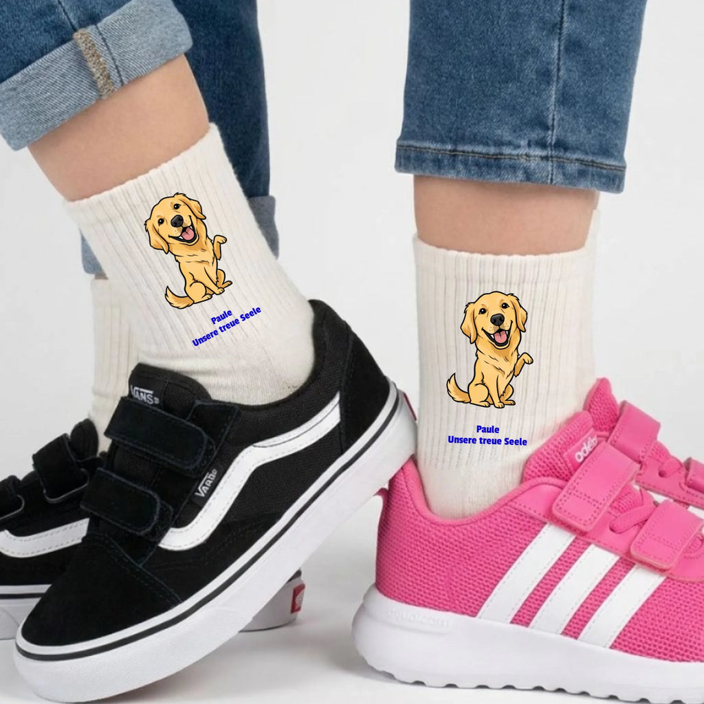 Socken - illustrationImage